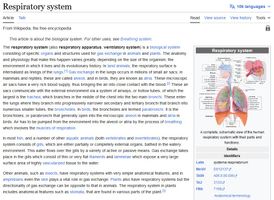 Respiratory system Wikipedia