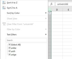 Excel Filtre