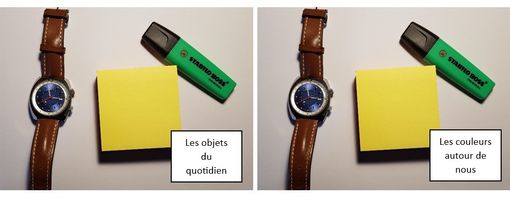 499514d9 324f 448d 970a 4e0ed9c5d48b